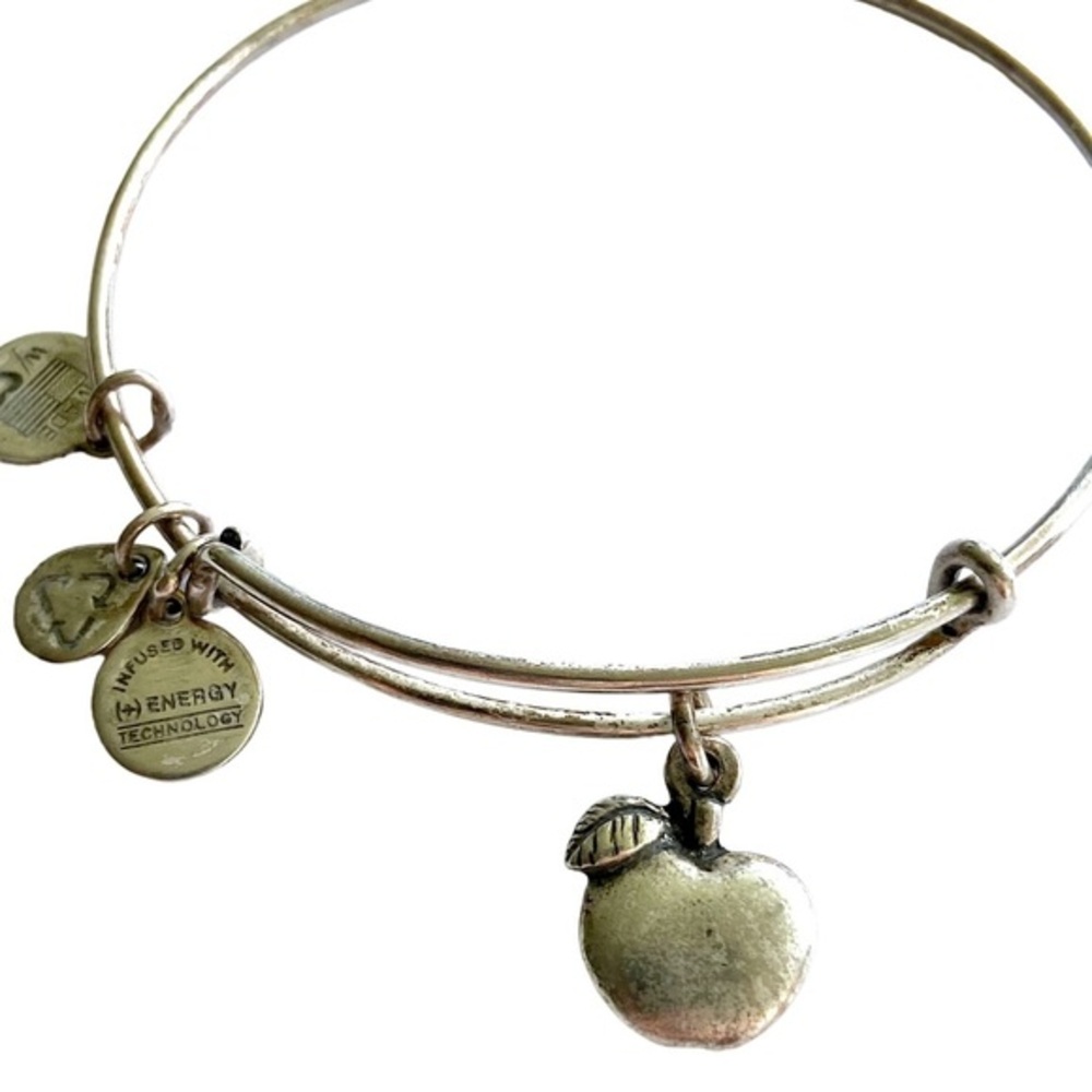 Alex and Ani Gold Teacher Apple Charm Bracelet